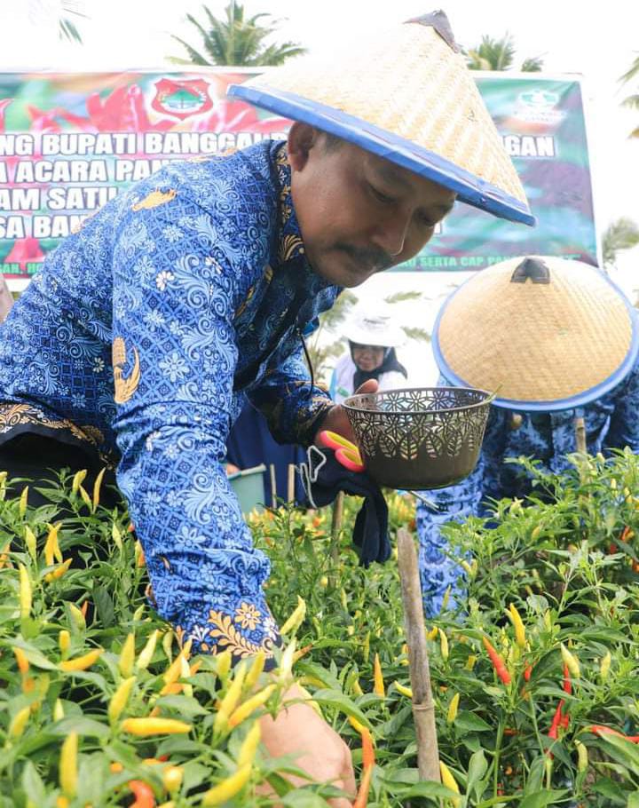 ikan lele jumbo di desa saluan