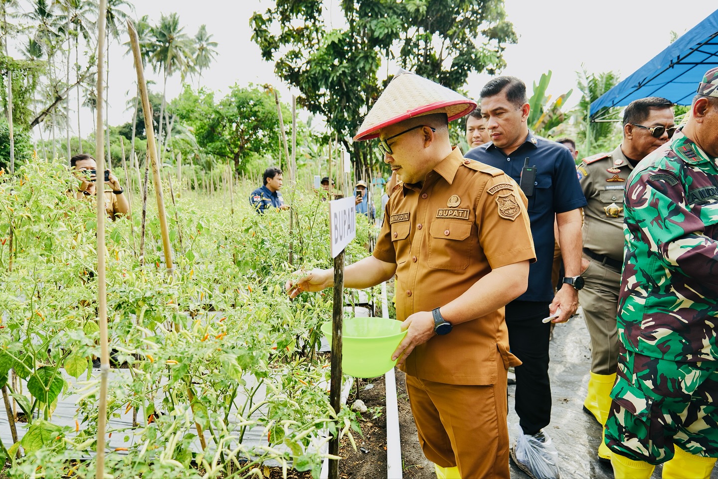 Panen Raya