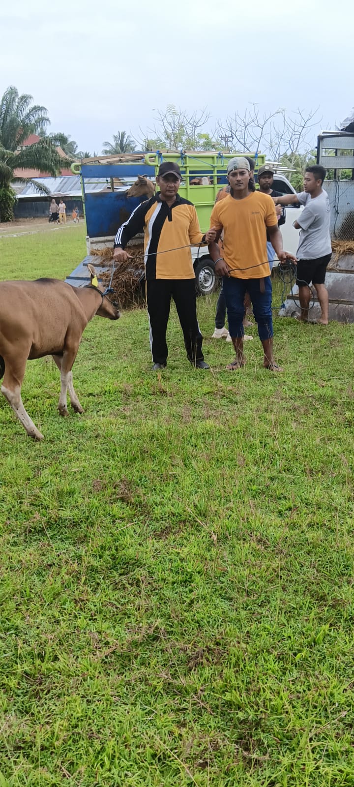 Penyaluran Bantuan Sapi kepada penerima manfaat tahun 2023